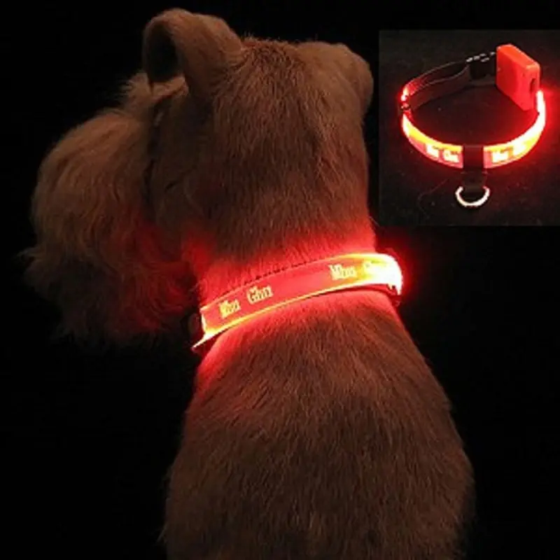 Small Dog LED Collars Red, XXS