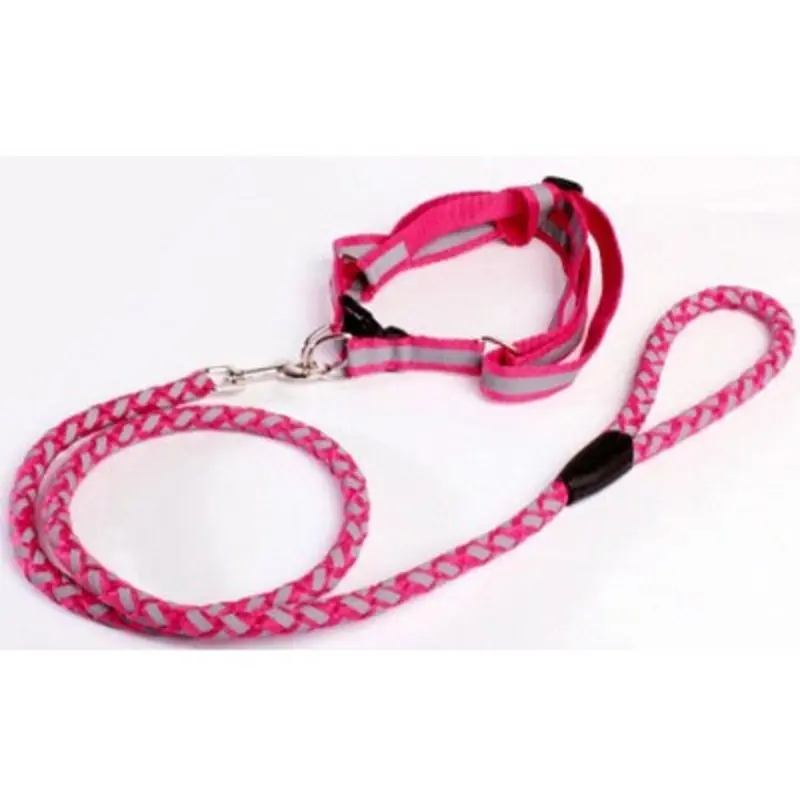 Braided Lumi Dog Leash & Step In Dog Harness Set - Fuchsia One Size