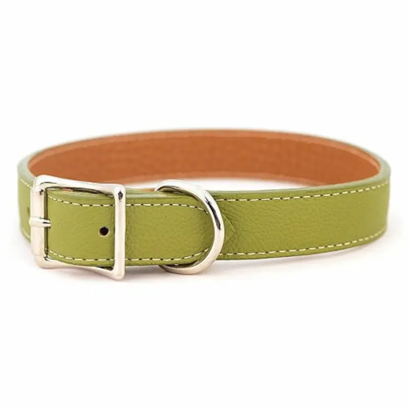 Tuscan Leather Dog Collar & Leash - Green