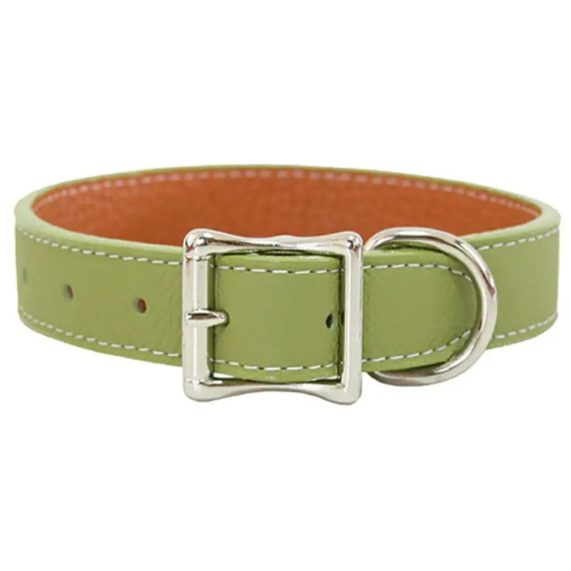 Tuscan Leather Dog Collar & Leash - Sage Green