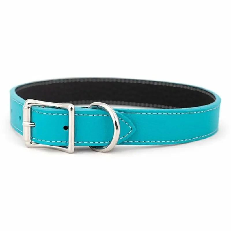 Tuscan Leather Dog Collar & Leash - Turquoise