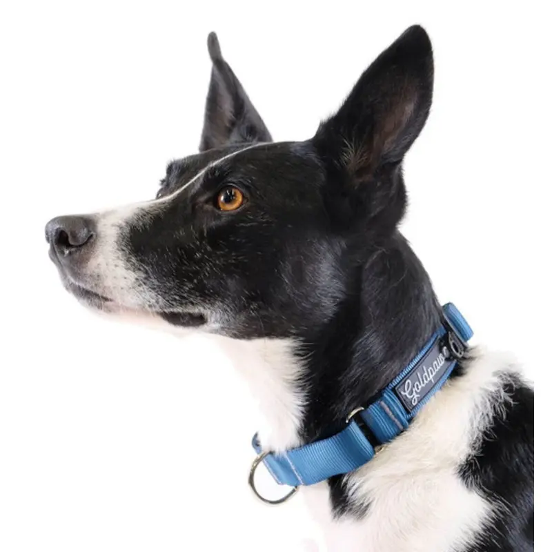 Standard Dog Martingale Collar - Marine