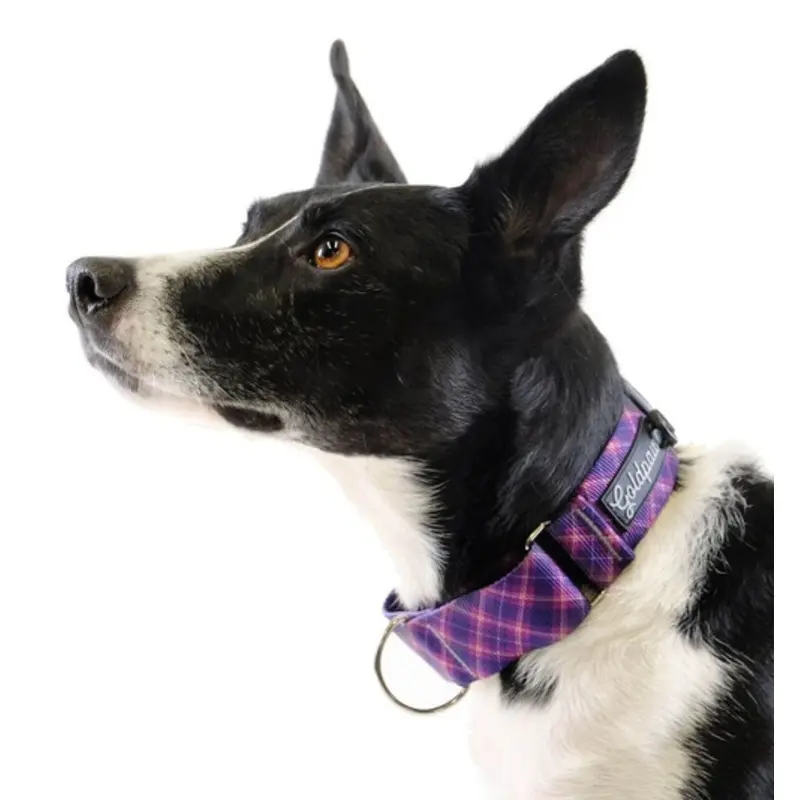 Standard Dog Martingale Collar - Mulberry Plaid