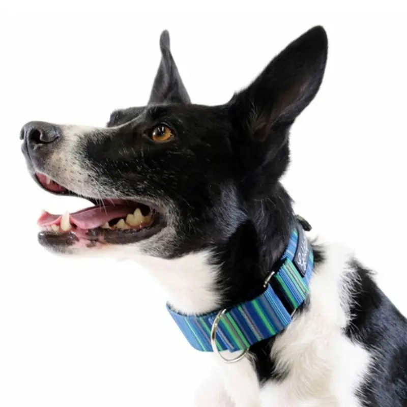 Standard Dog Martingale Collar - Riverbed