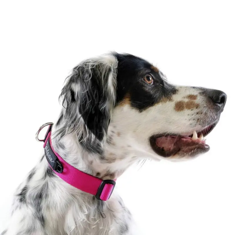 Standard Dog Side Release 1" Collar - Fuchsia Pink
