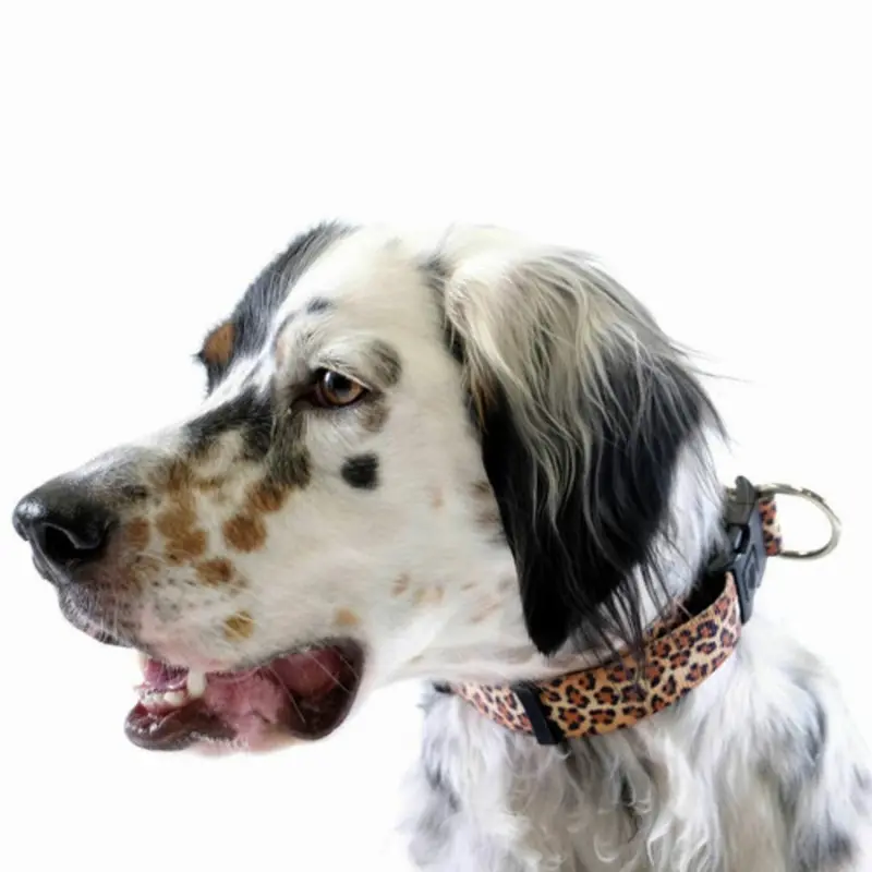 Standard Dog Side Release 1" Collar - Leopard
