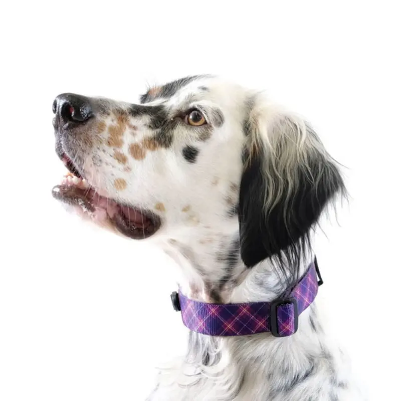 Standard Dog Side Release 1" Collar - Mulberry Plaid