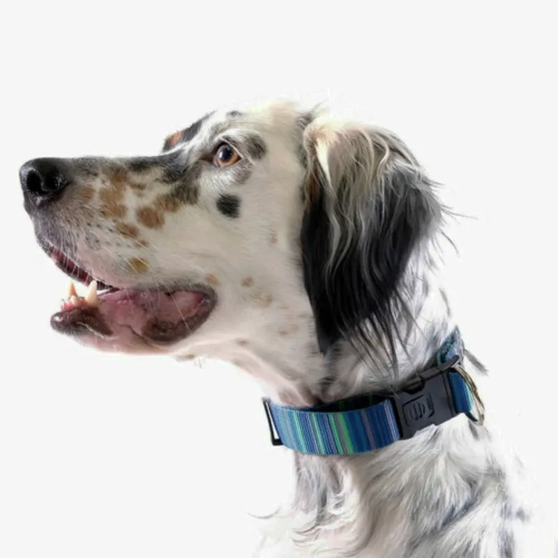 Standard Dog Side Release 1" Collar - Riverbed