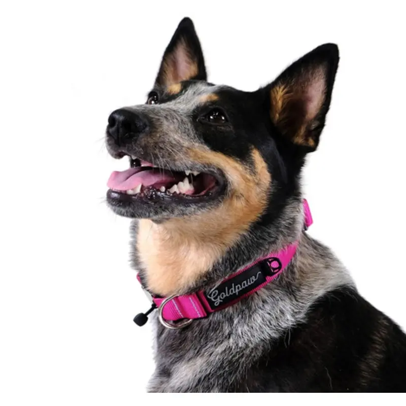 Swiftlock Dog Side Release 1" Collar - Fuchsia Pink