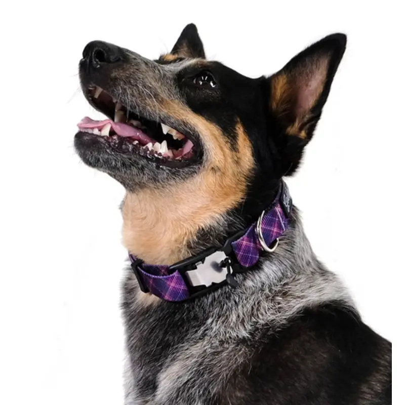 Swiftlock Dog Side Release 1" Collar - Mulberry Plaid