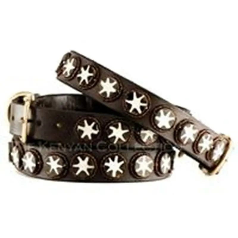 Batik Bone Star African Beaded Collar & Leash Collection