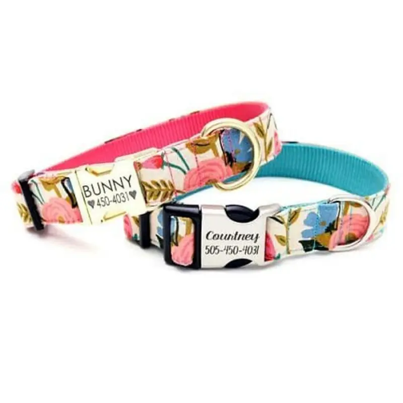 Journey Travel Map Canvas Dog Collar Buckle side release (shown)