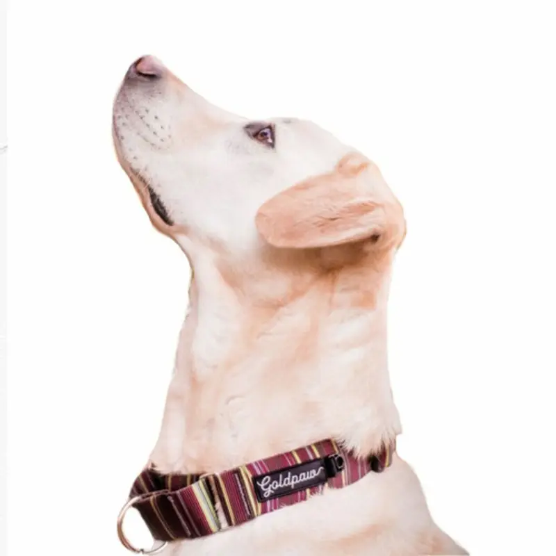 Standard Dog Martingale Collar - Canyon