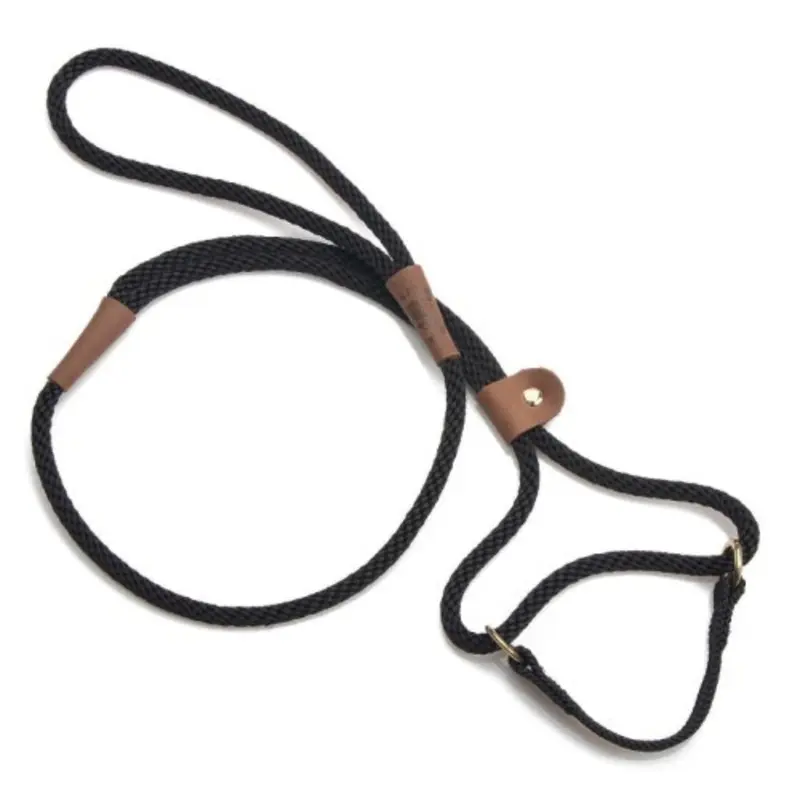 Dog Walkers (Martingale-style)- 3/8" x 4ft&