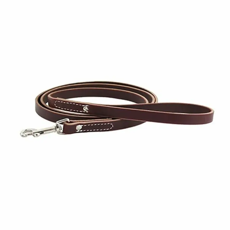 Leather Pet Dog Training Leads