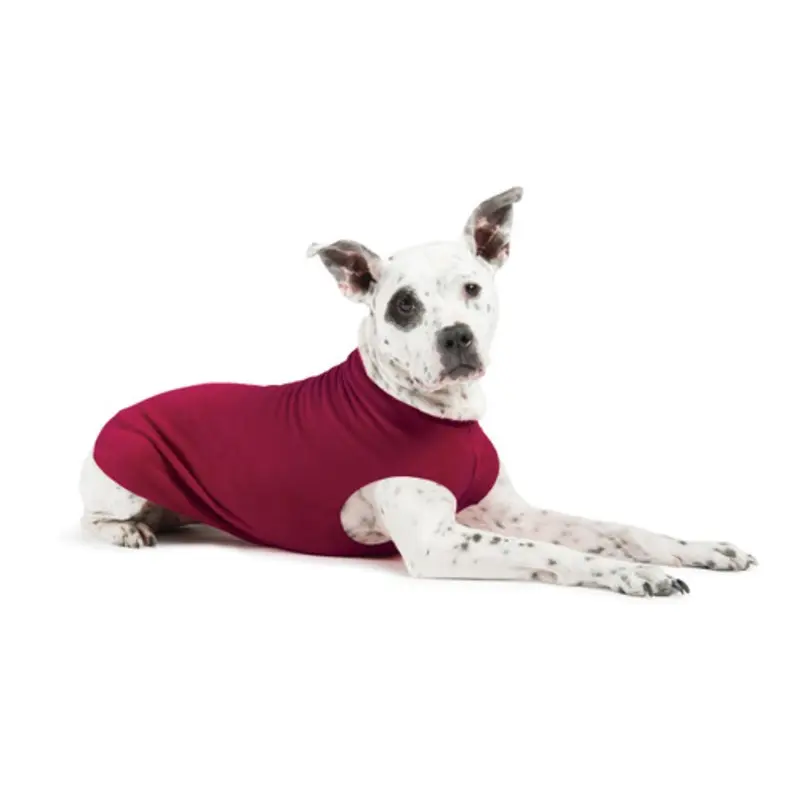 Gold Paw Stretch Fleece - Garnet