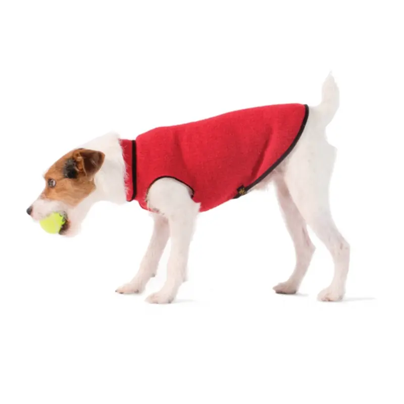 Pet Dog Gold Paw Eco Fleece - Ruby Red