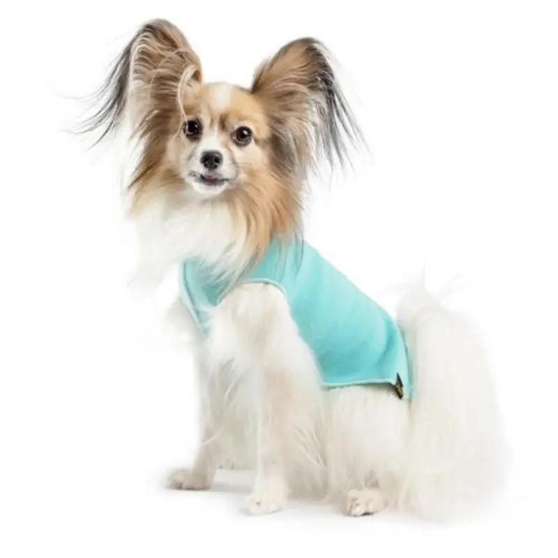 Gold Paw Stretch Fleece - Turquoise