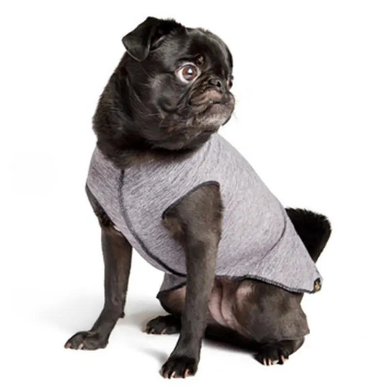 Sun Shield Pet Dog Tee - Grey Heather
