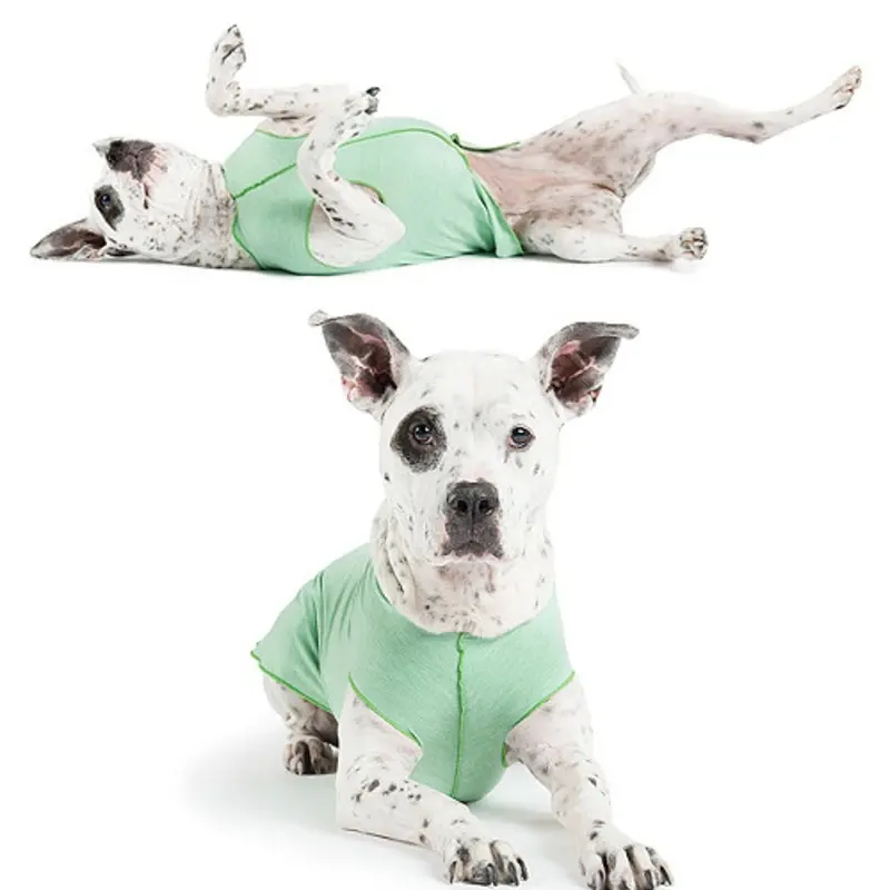 Sun Shield Pet Dog Tee - Pistachio Heather