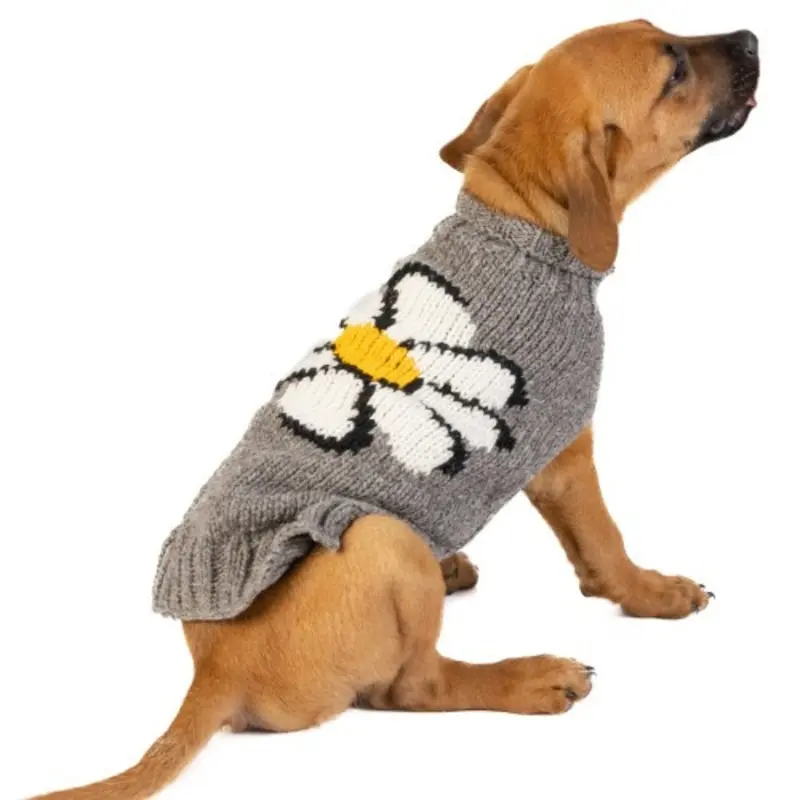Big Daisy Wool Hand Knit Dog Sweaters XXS