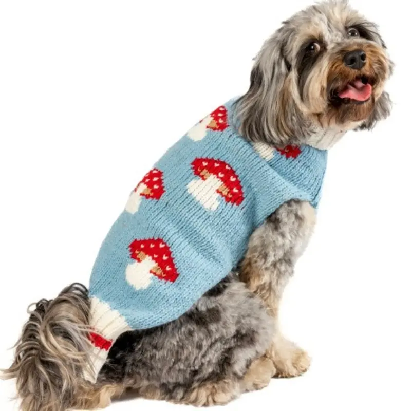 Mushroom Wool Dog Sweater XXS