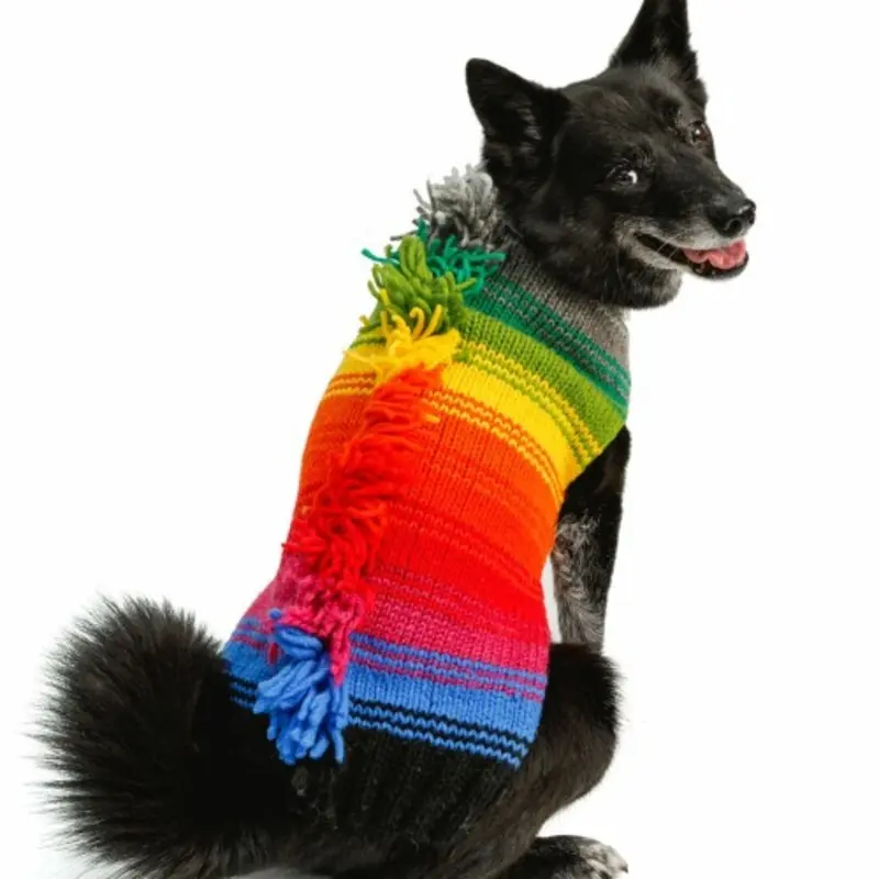 Rainbow Mohawk Wool Dog Sweater XXS