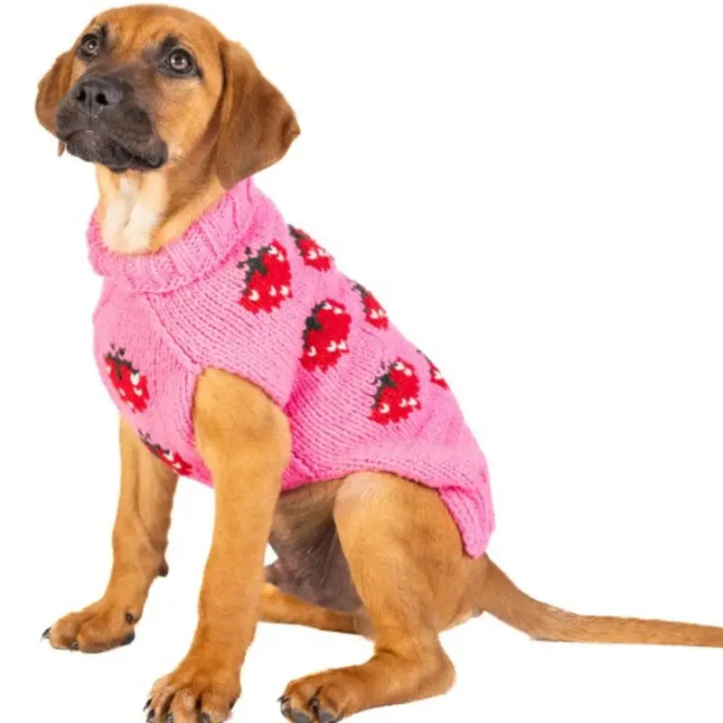 Strawberry Wool Dog Sweater XXS