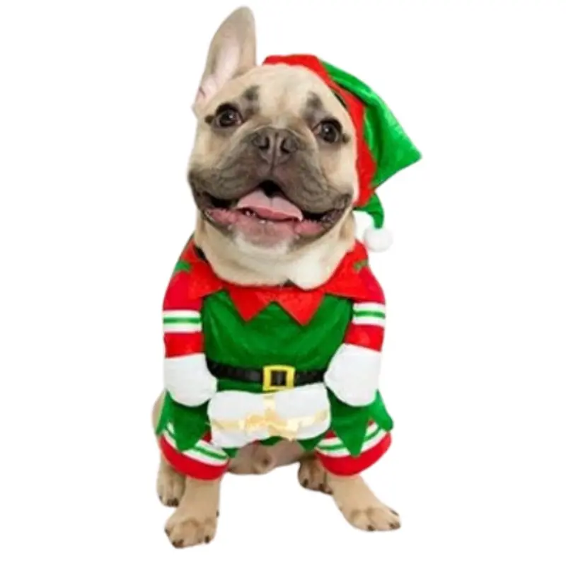Elf Pet Dog Costume Small