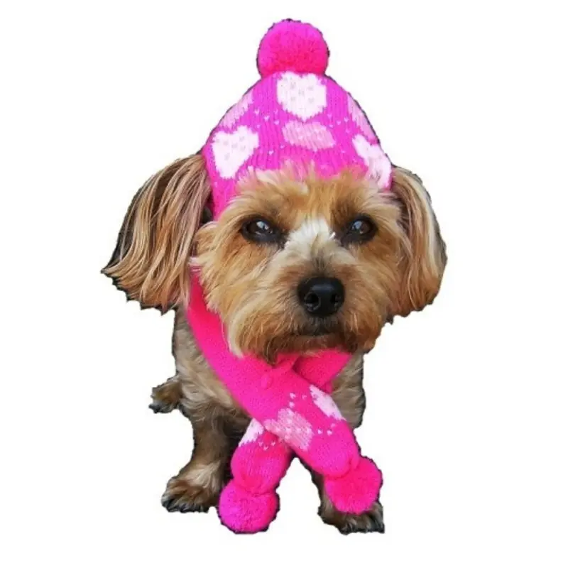 Sassy Knitted Winter Pet Dog Hat & Scarf - Pink Hearts Small Set