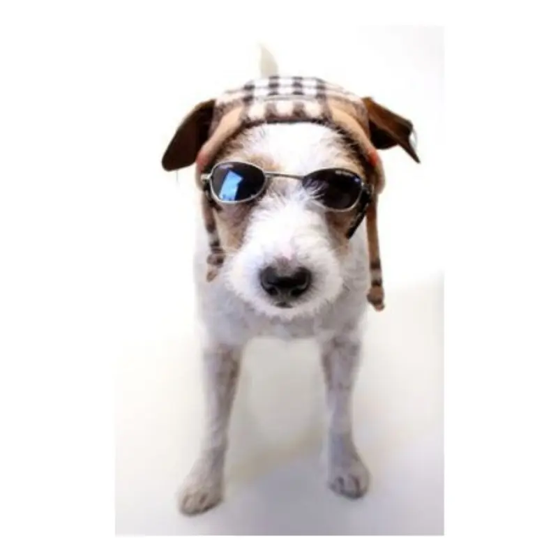 Alpin Dog Hat Tan Plaid, Small