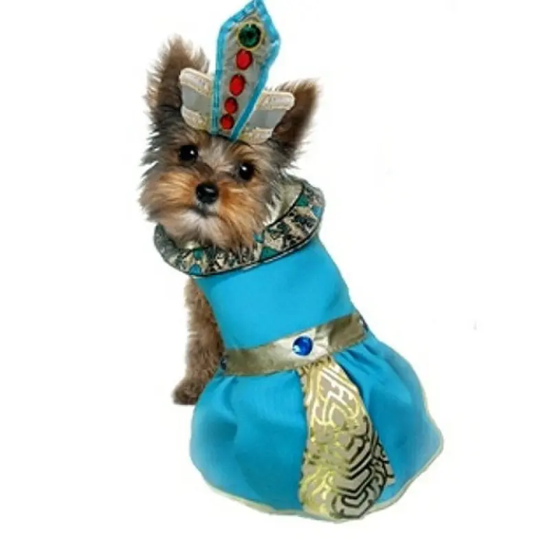 Cleopatra Pet Dog Costume 5