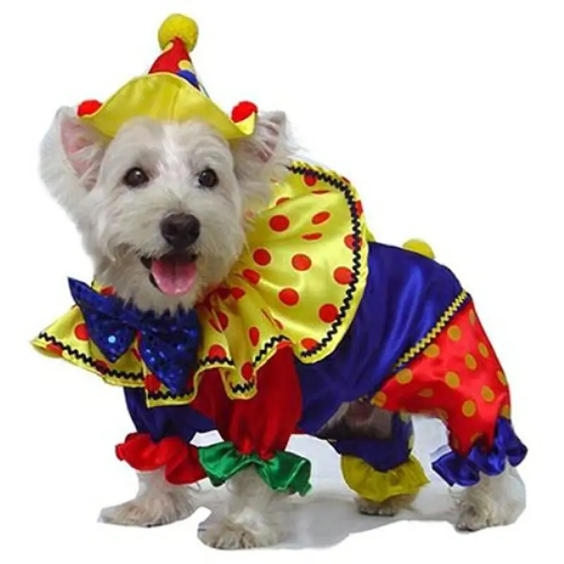 Costume - Clown 0