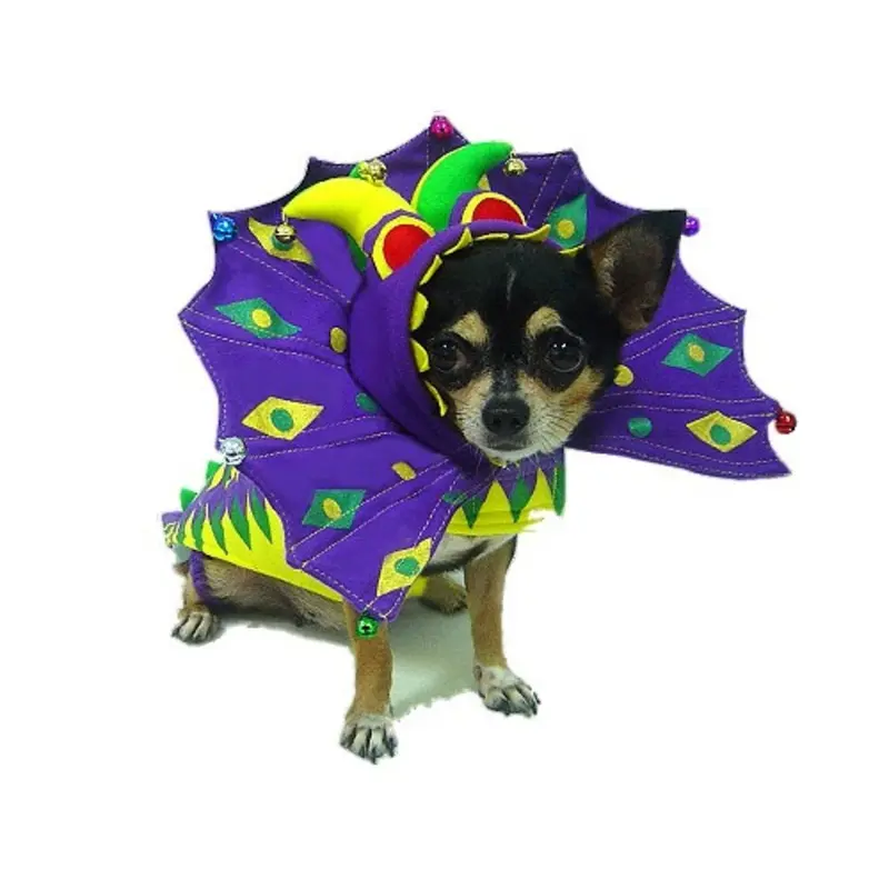Costume - Mardi Paws Dragon 3