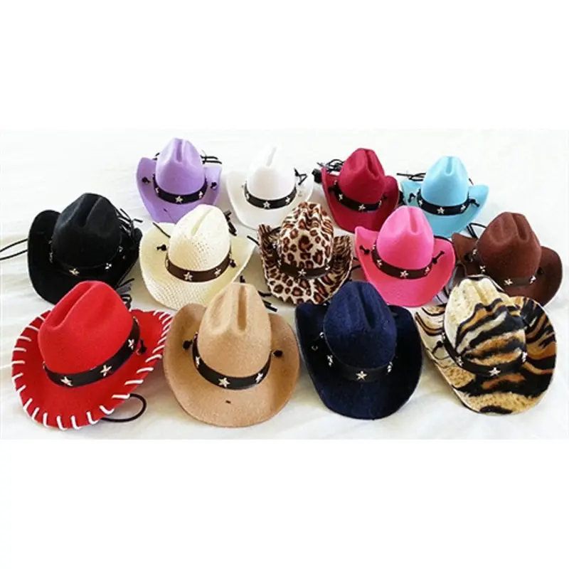 Dog Cowboy Hats
