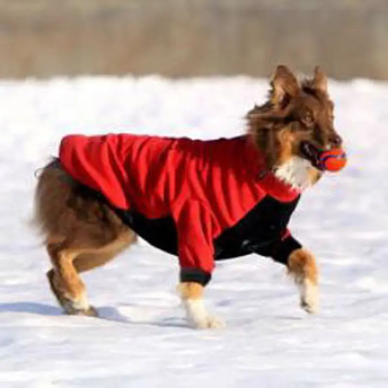 Dog Snow Jacket - Red/Black - 5 - 110 lbs