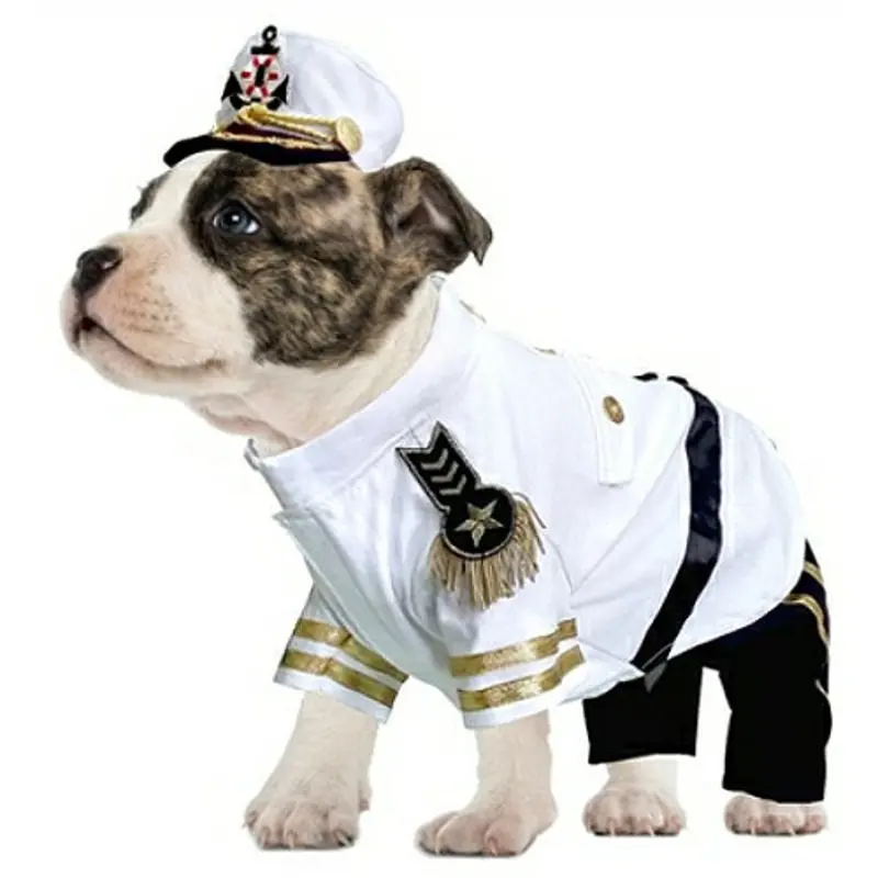 Admiral Pet Dog Costume 2