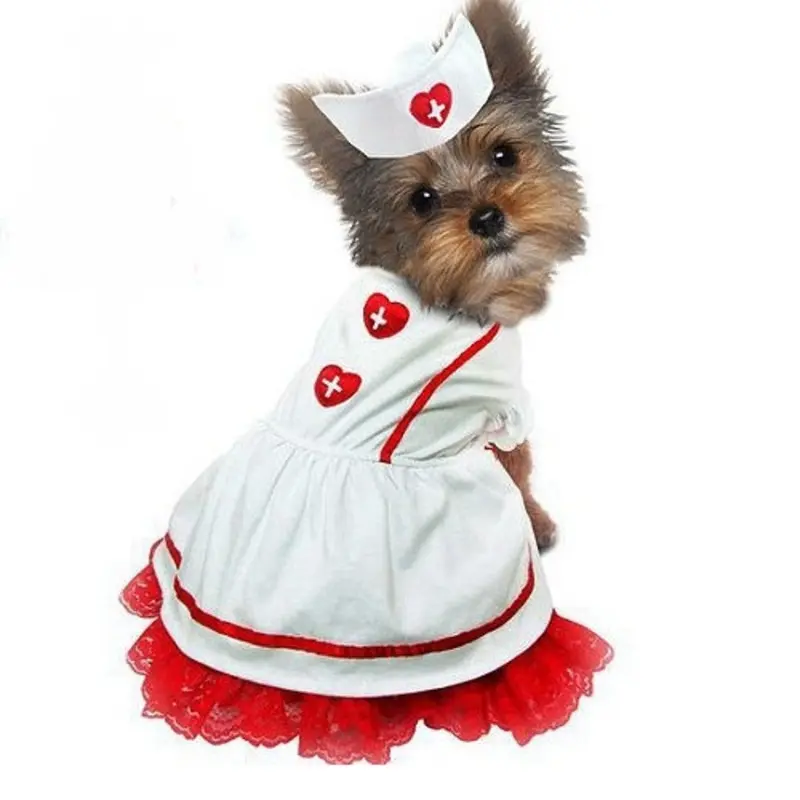 Sweetheart Nurse Pet Dog Costume 4