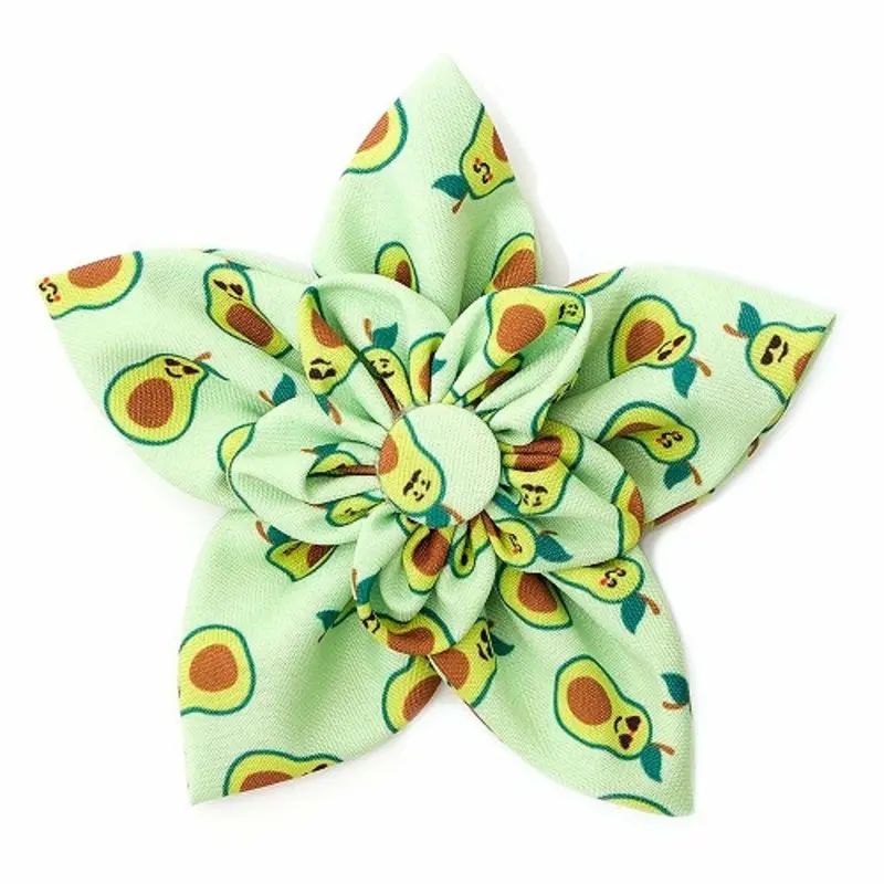 Avocados Pet Dog Collar Flower Small