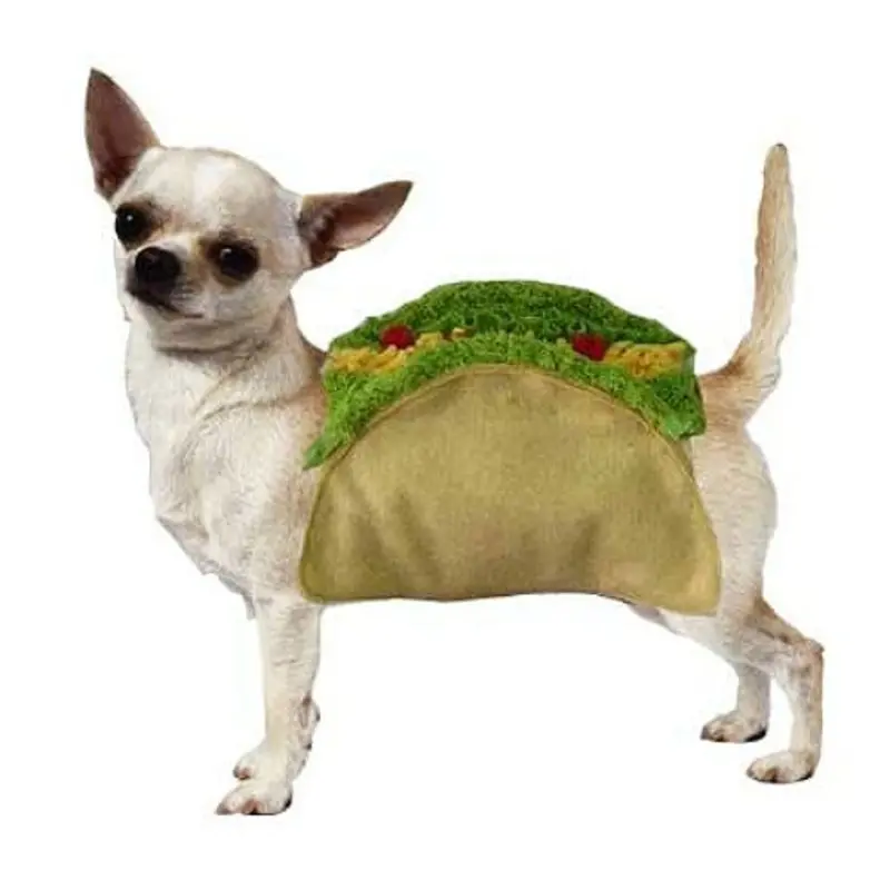 Costume - Taco 0