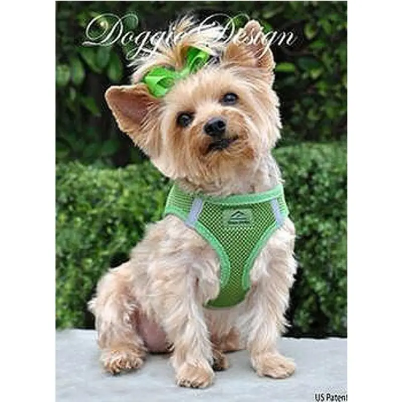American River Choke Free Step In Dog Harness - Apple Green XXL