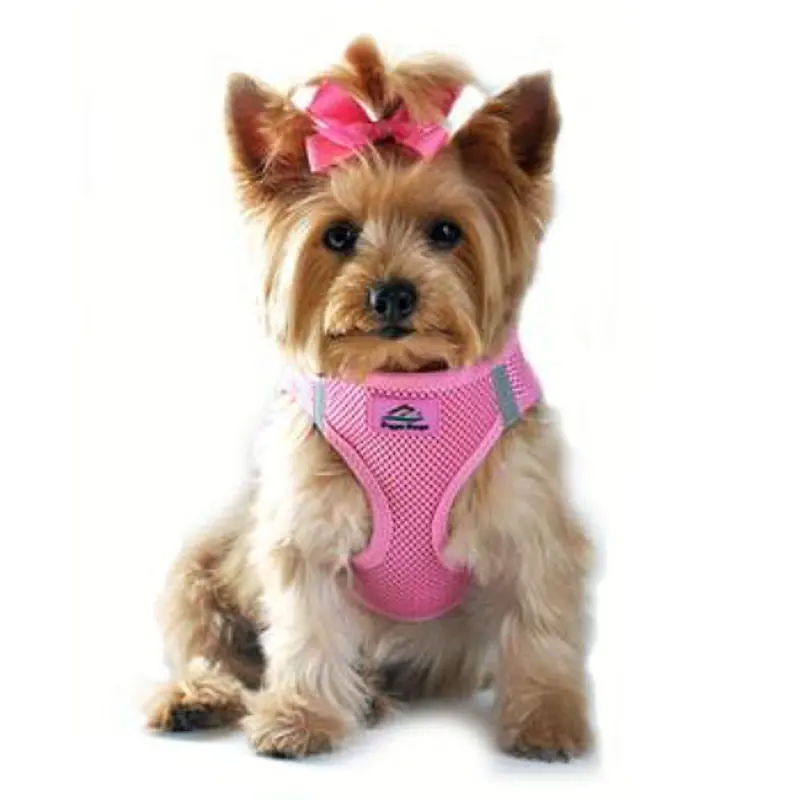 American River Choke Free Step In Dog Harness, Candy Pink XXS
