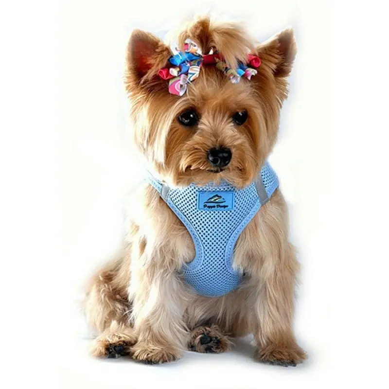 American River Choke Free Step In Dog Harness, Light Blue XS