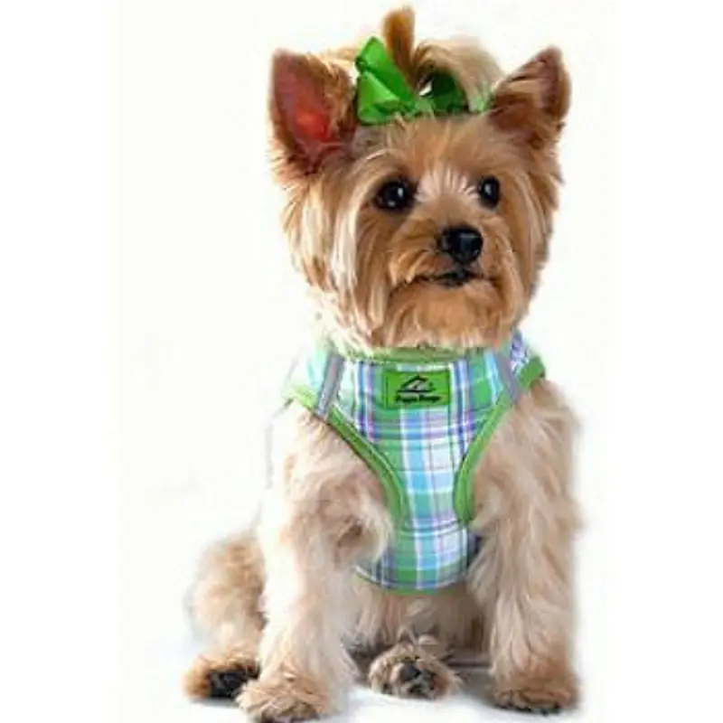 American River Choke Free Step In Dog Harness, Green Plaid 2X