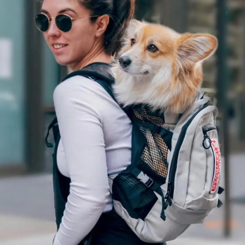 Air Plus Pet Backpack Carrier - Light Gray - Pets Up to 40 lbs Small