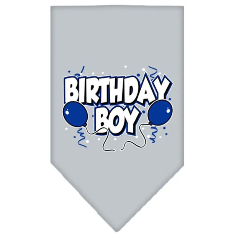 Birthday Boy Screen Print Dog Bandana - Gray Small