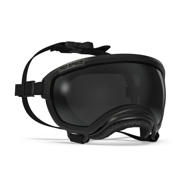 Rex Specs V2 Dog Goggles - Black X-Small - Free Shipping!