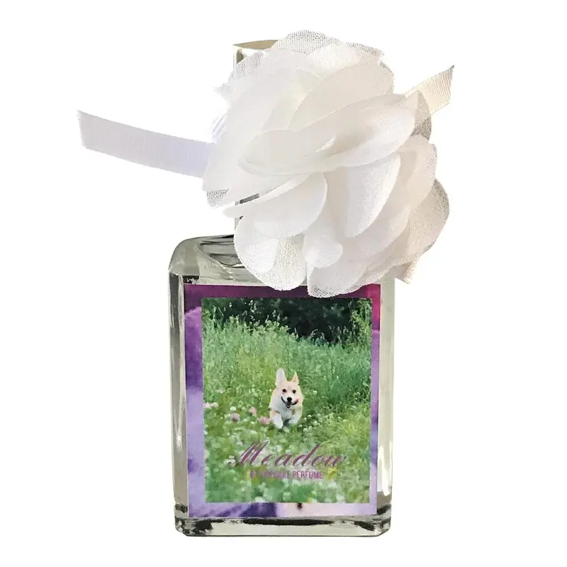 The Dog Squad Pupcake Perfume for Dogs - Meadow