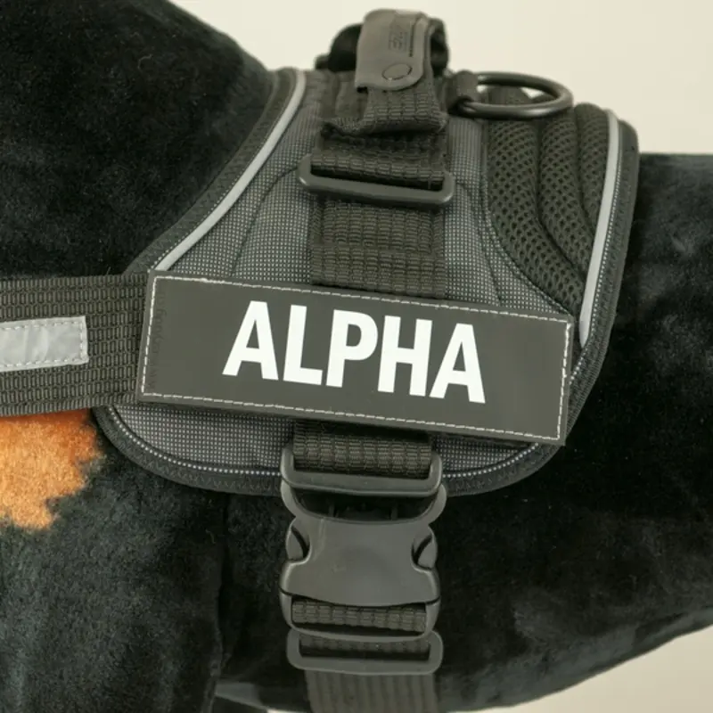 EzyDog Side Patches for Convert Harness - Alpha Small