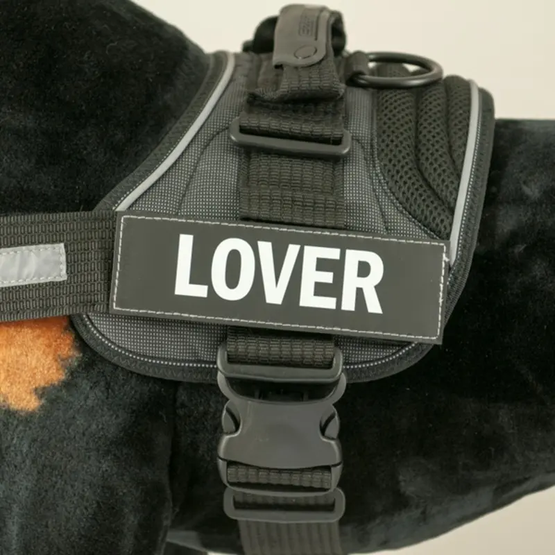 EzyDog Side Patches for Convert Harness - Lover Small